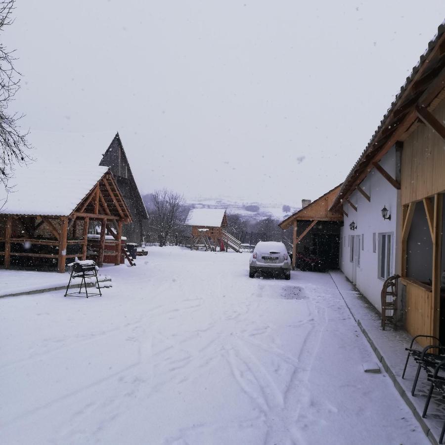 Casa Din Barcut Pensionat Exteriör bild