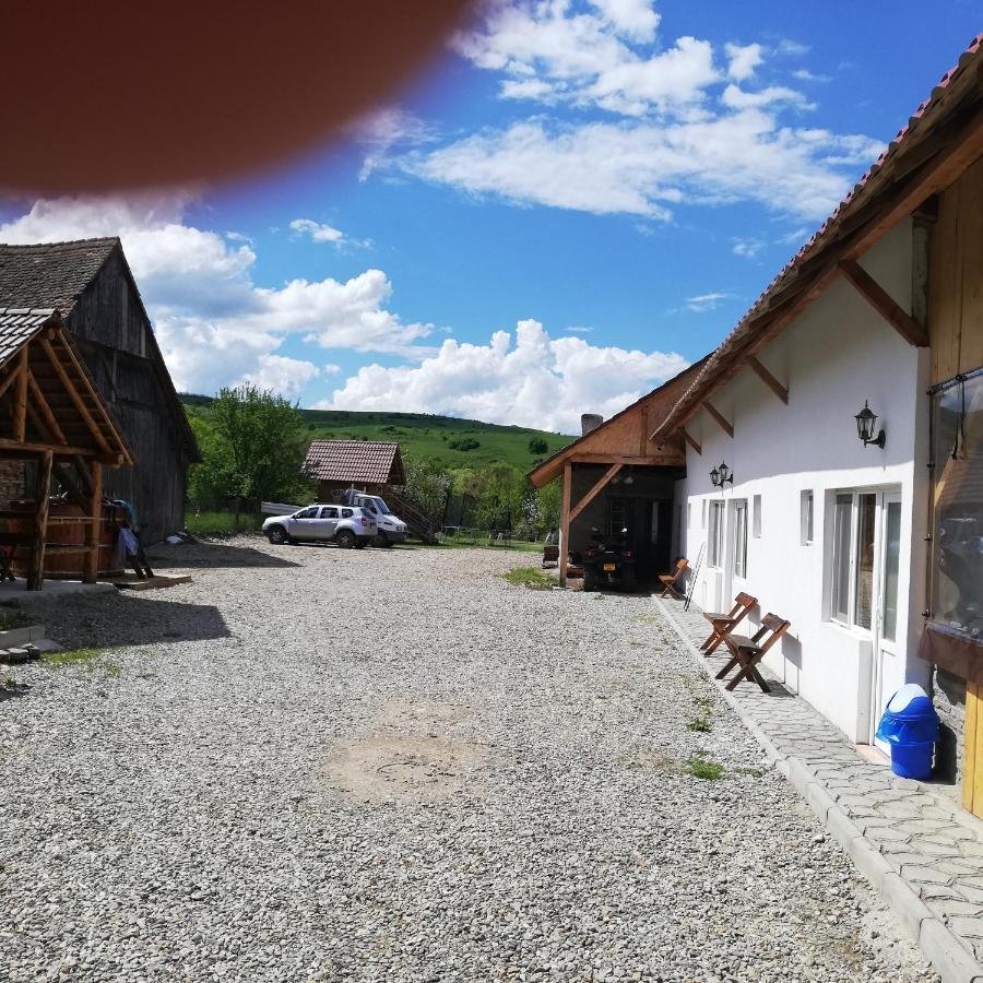 Casa Din Barcut Pensionat Exteriör bild