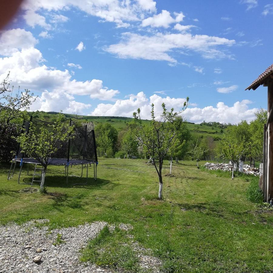Casa Din Barcut Pensionat Exteriör bild